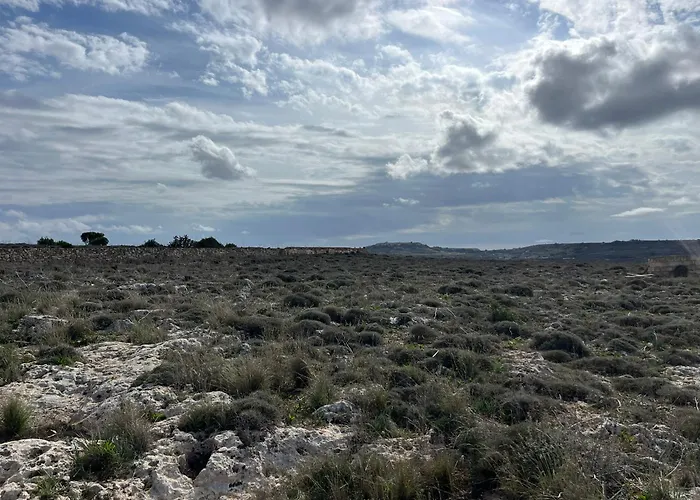 Sunset Edge - Lippija